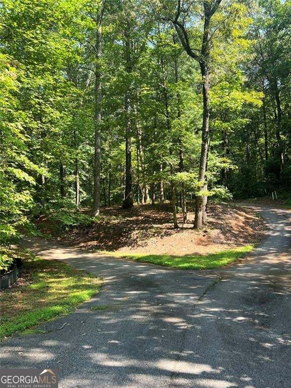 85 Via Massa Property Photo 8