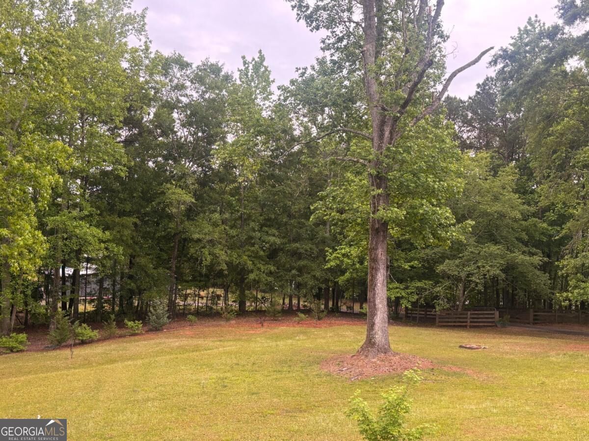 1110 Old Driver Road Property Photo 29