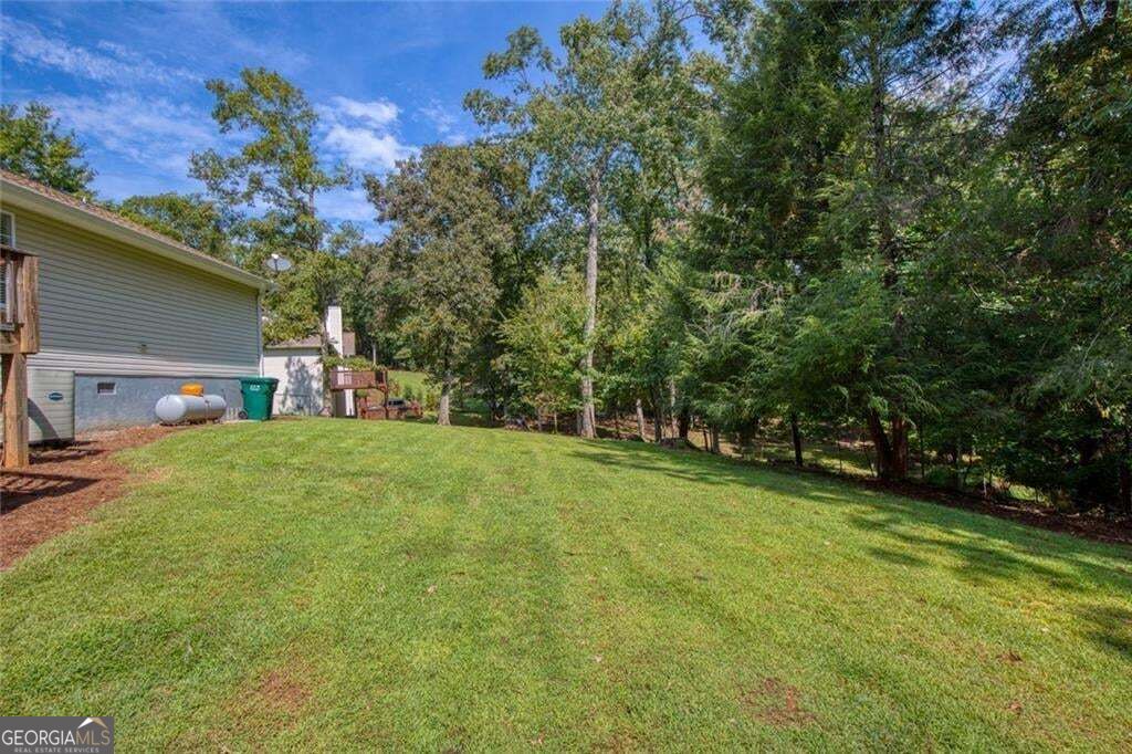 333 Long Branch Crossing Property Photo 42