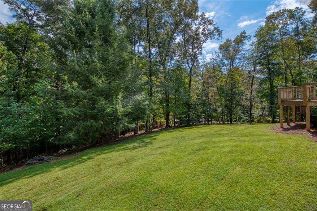 333 Long Branch Crossing Property Photo 43