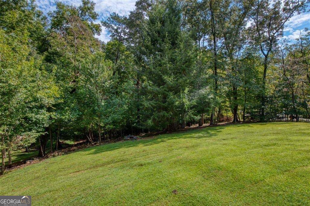 333 Long Branch Crossing Property Photo 44