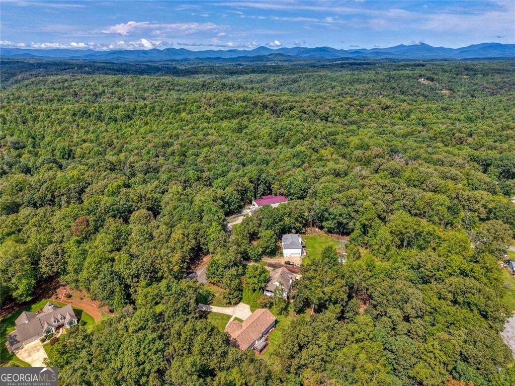 333 Long Branch Crossing Property Photo 51
