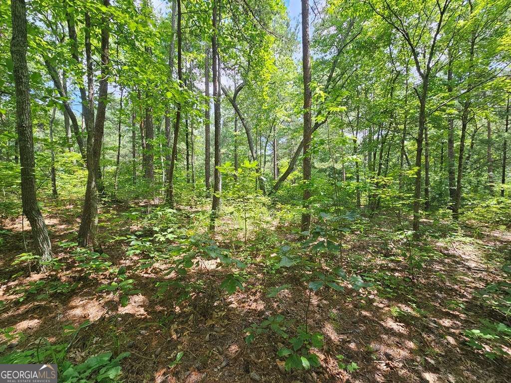 0 Harris Ridge Drive # 183 Property Photo 5