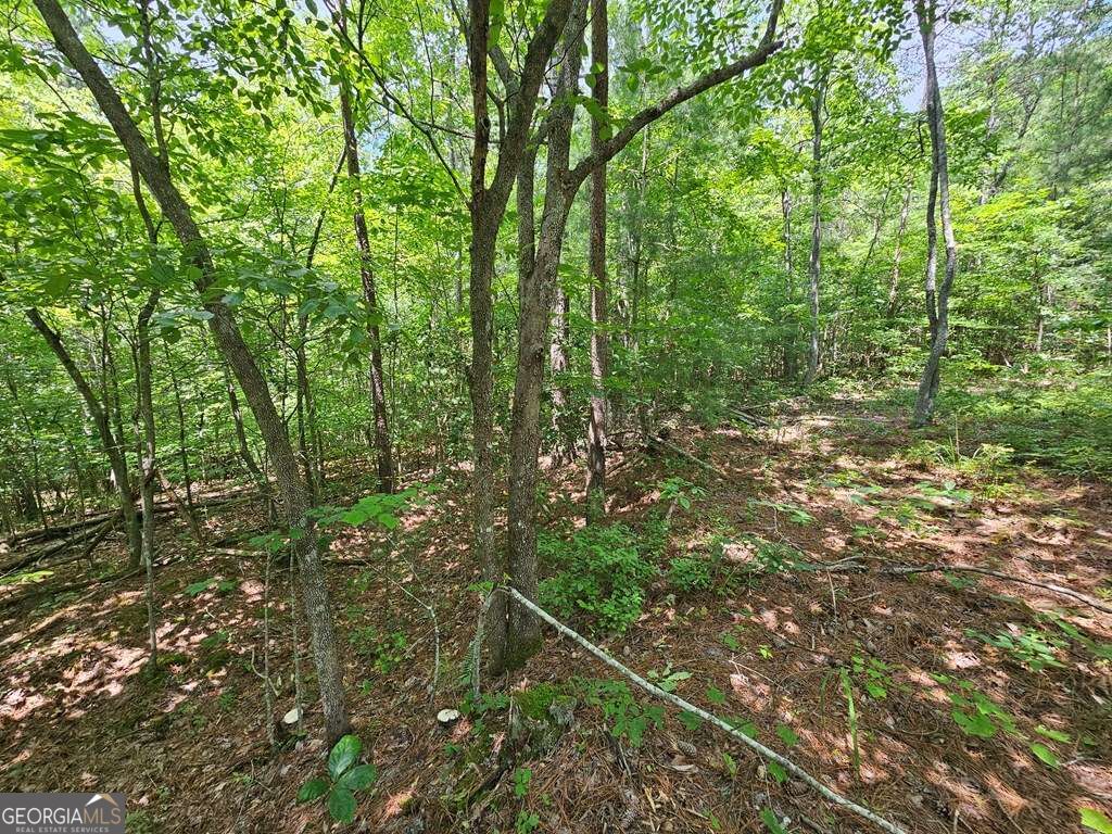 0 Harris Ridge Drive # 183 Property Photo 6