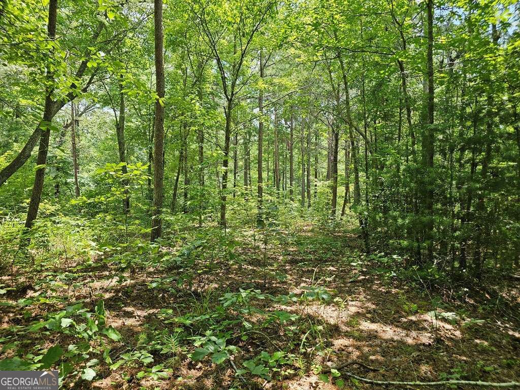 0 Harris Ridge Drive # 183 Property Photo 7