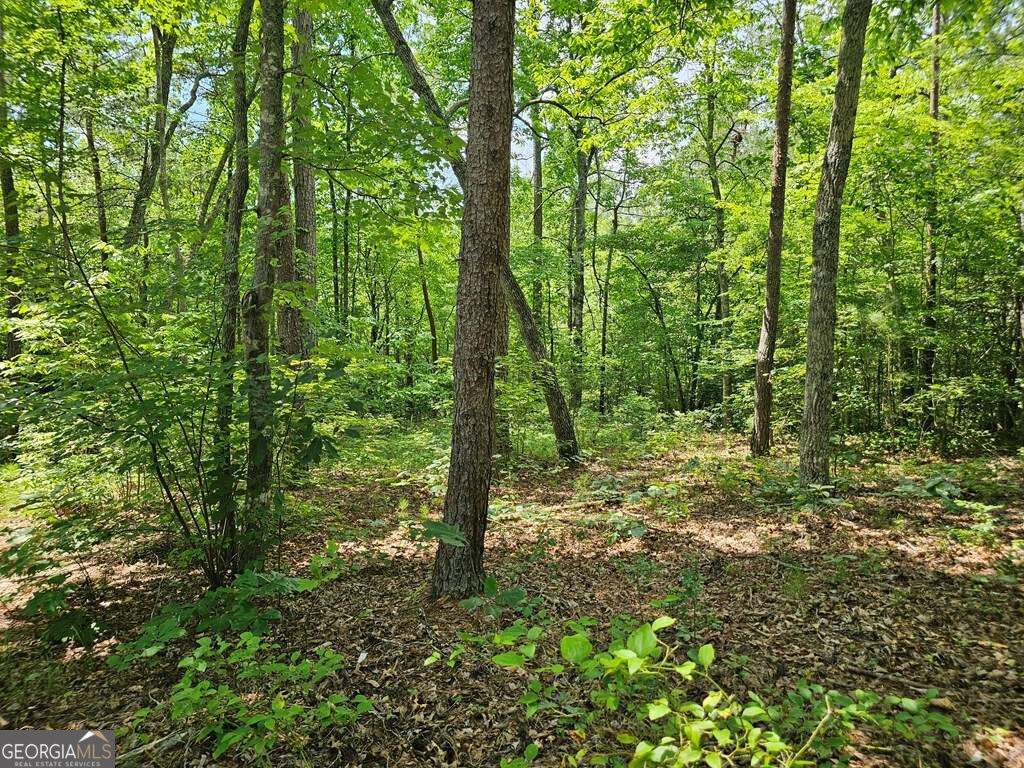0 Harris Ridge Drive # 183 Property Photo 8
