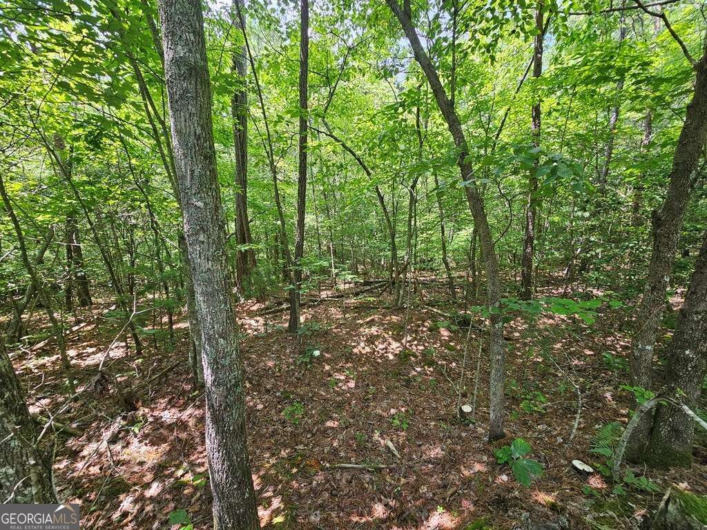 0 Harris Ridge Drive # 183 Property Photo 10