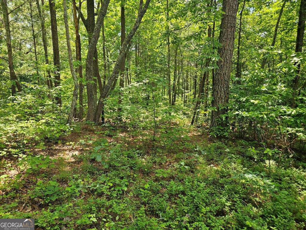 0 Harris Ridge Drive # 183 Property Photo 11