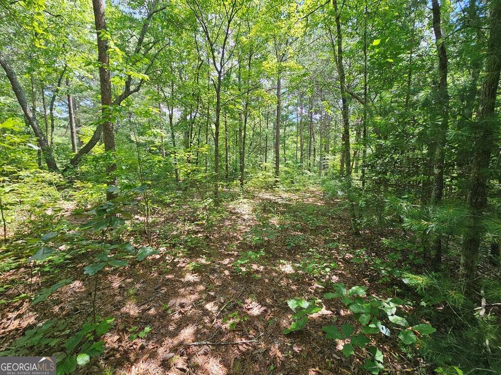 0 Harris Ridge Drive # 183 Property Photo 12