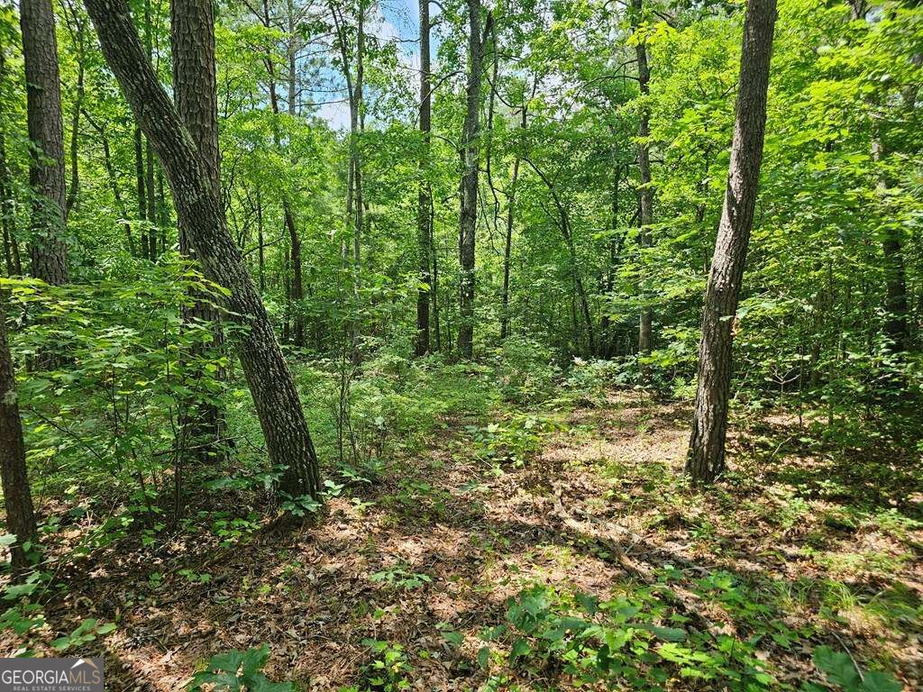 0 Harris Ridge Drive # 183 Property Photo 13