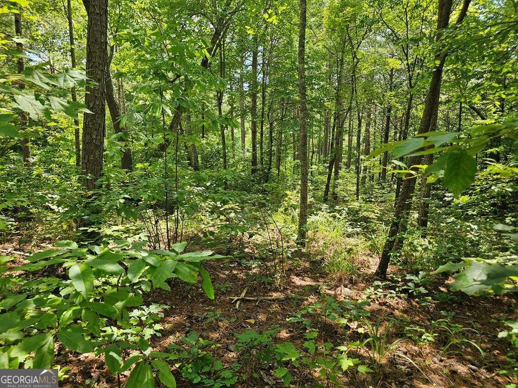 0 Harris Ridge Drive # 183 Property Photo 14