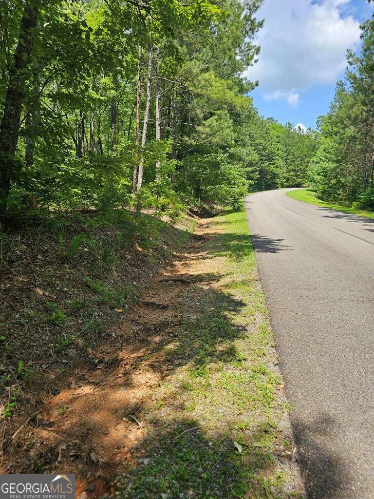 0 Harris Ridge Drive # 183 Property Photo 15