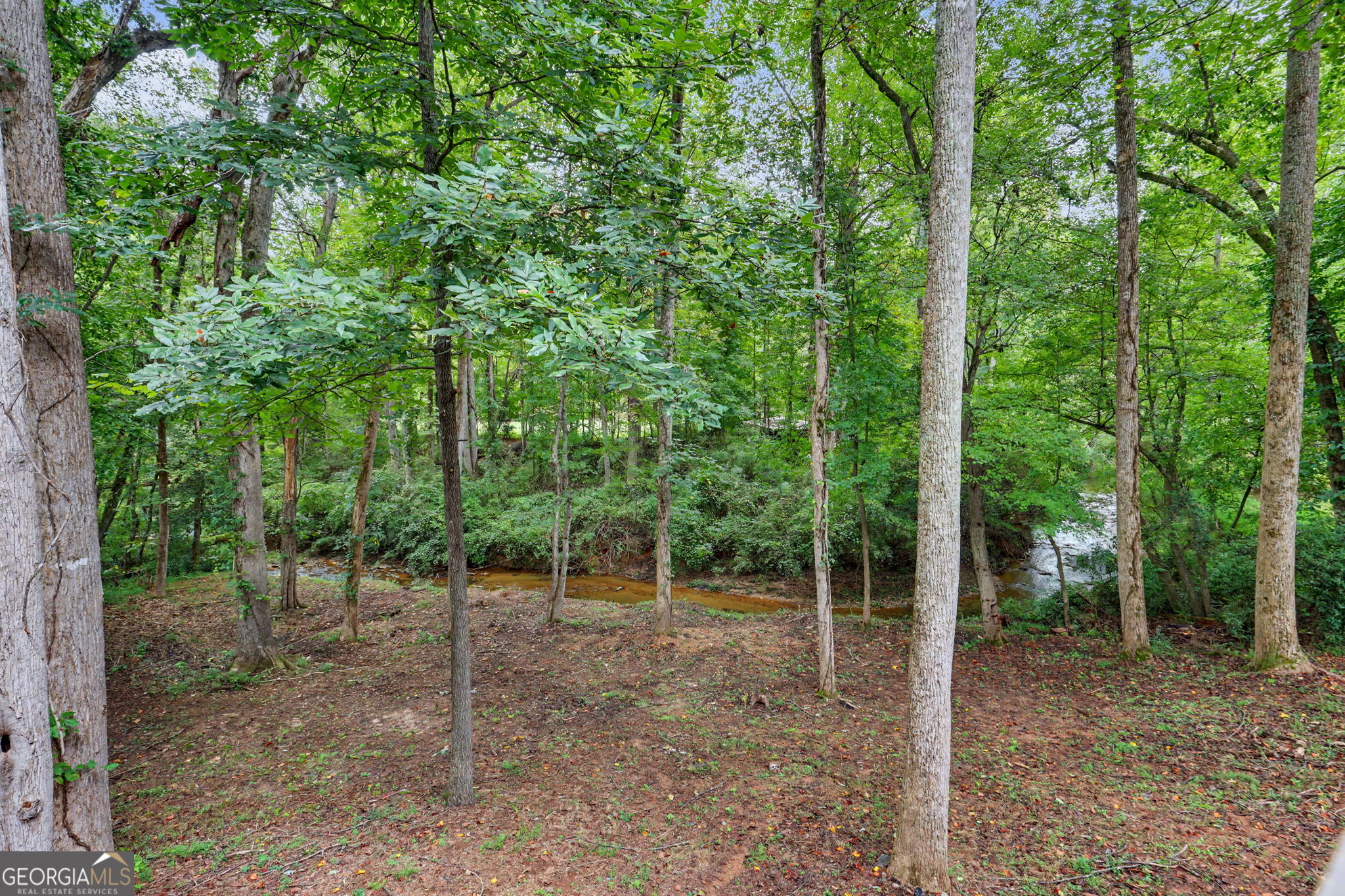 174 Tusquittee Trail Property Photo 3