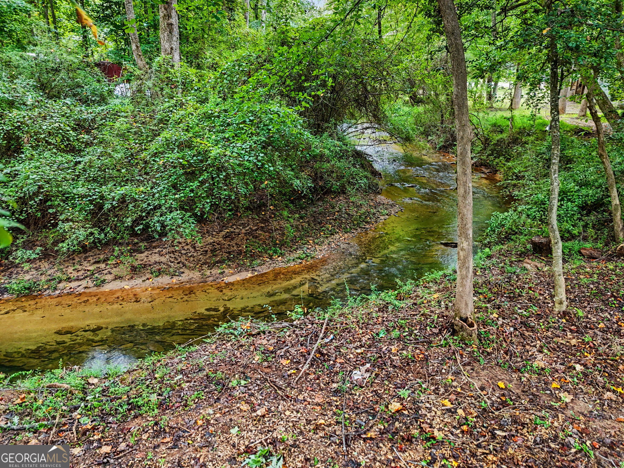 174 Tusquittee Trail Property Photo 39