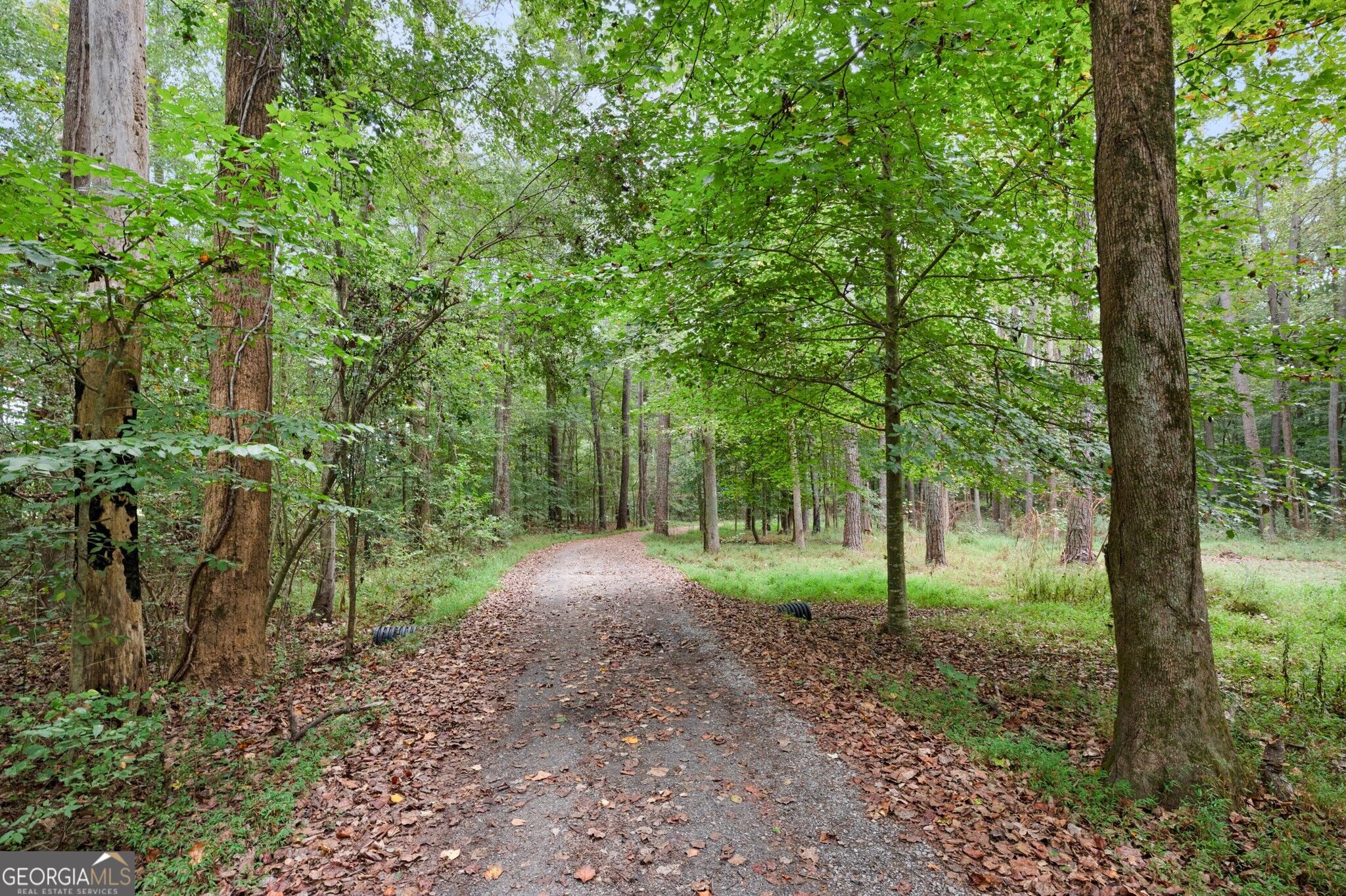 122 Bigham Road Property Photo 15