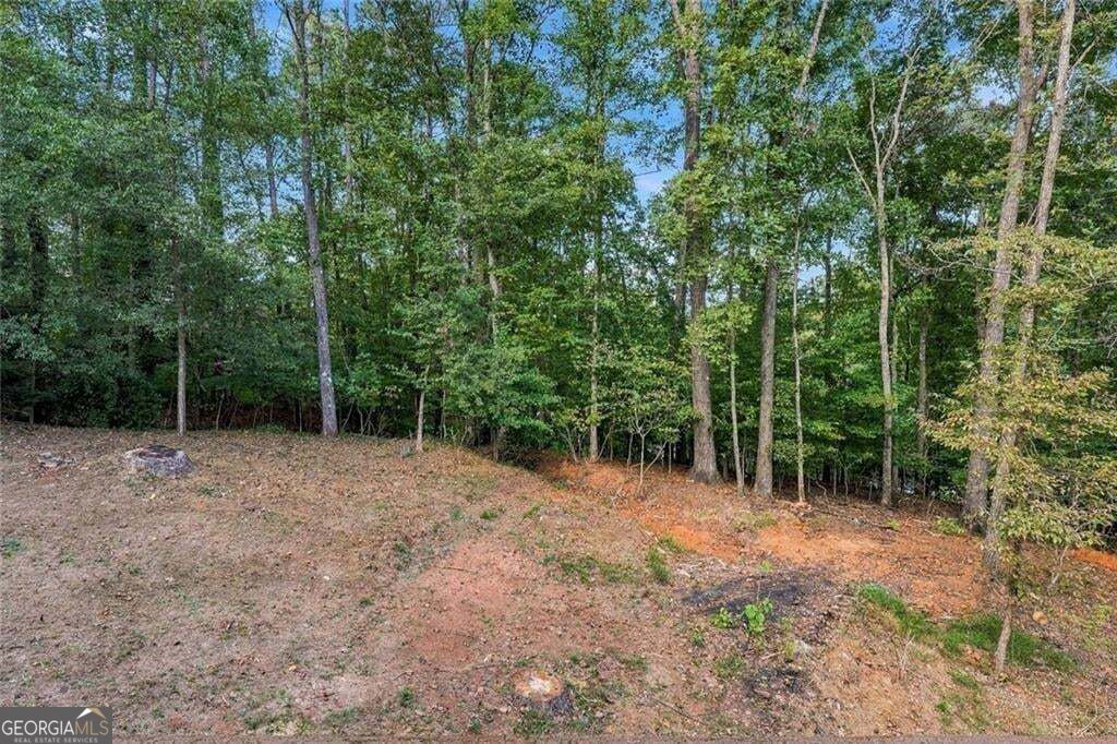 707 Copper Trace Way Property Photo 37
