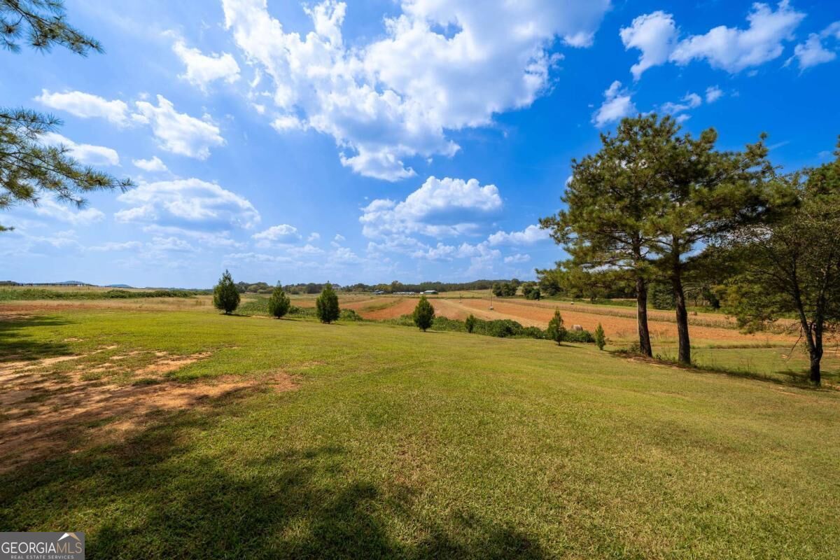 1602 Old Alabama Road Property Photo 63
