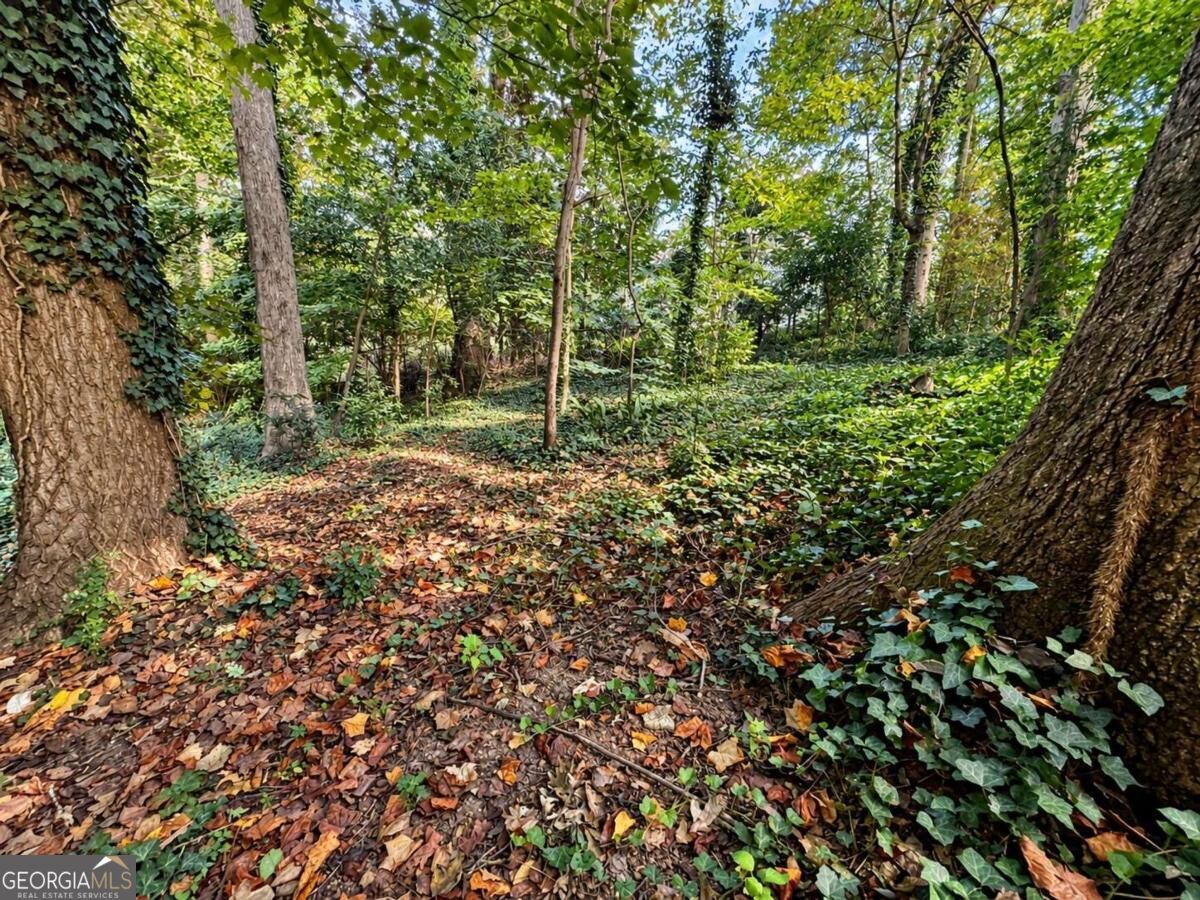 60 Ivy Parkway Ne Property Photo 29