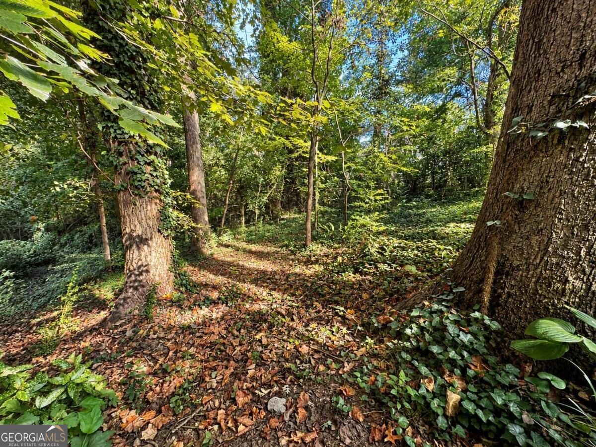60 Ivy Parkway Ne Property Photo 30