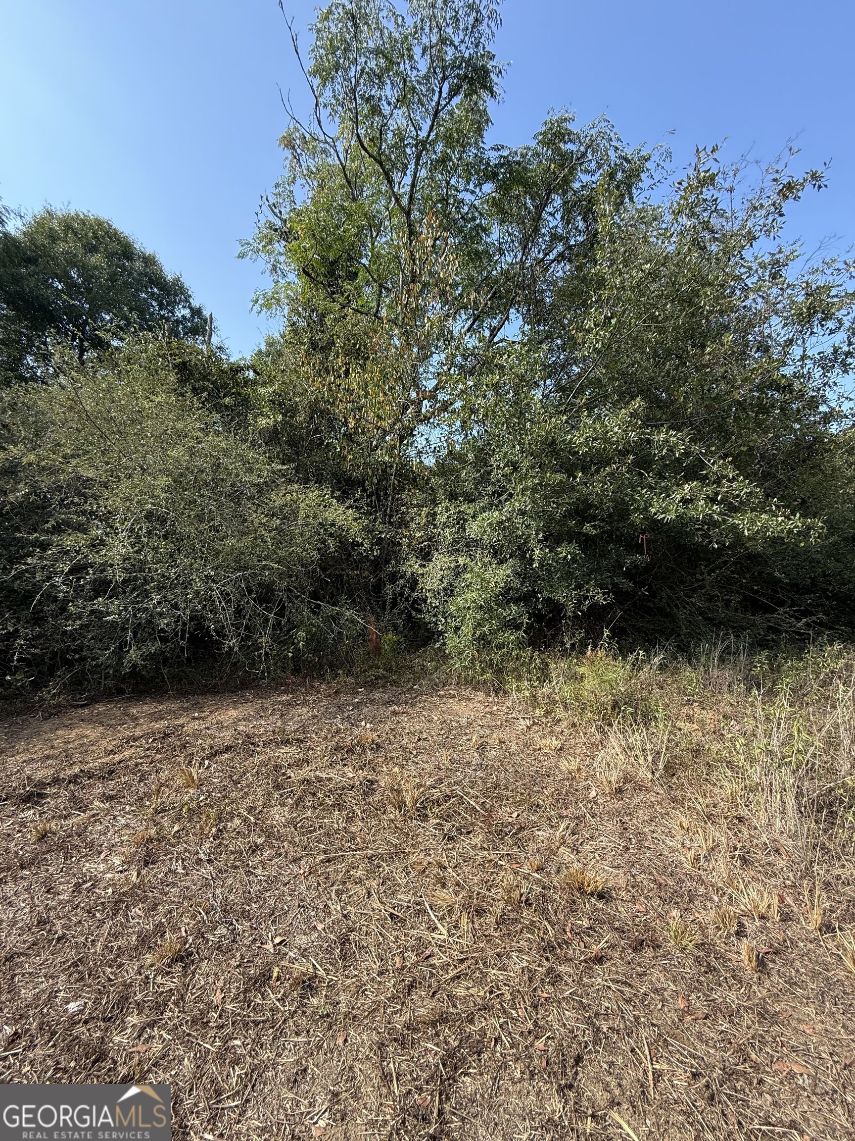 0 S Bartow Road Property Photo 3