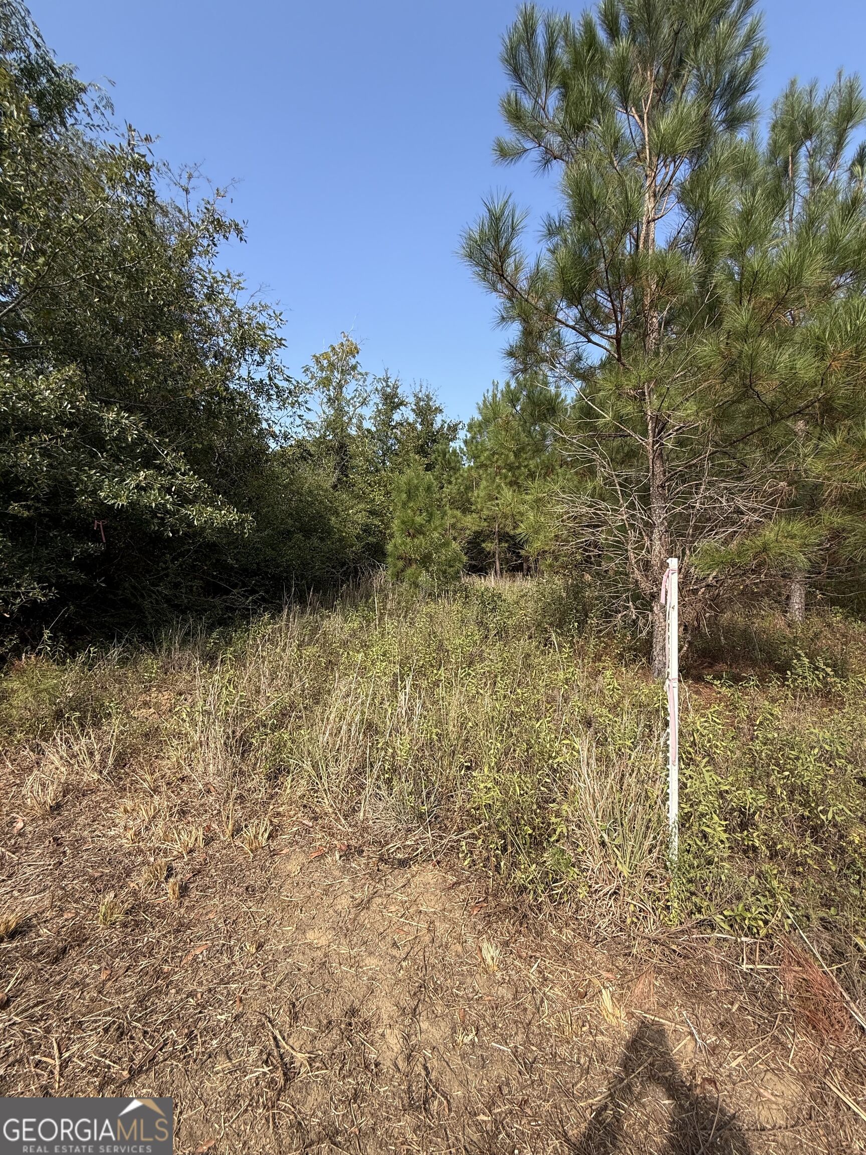 0 S Bartow Road Property Photo 4
