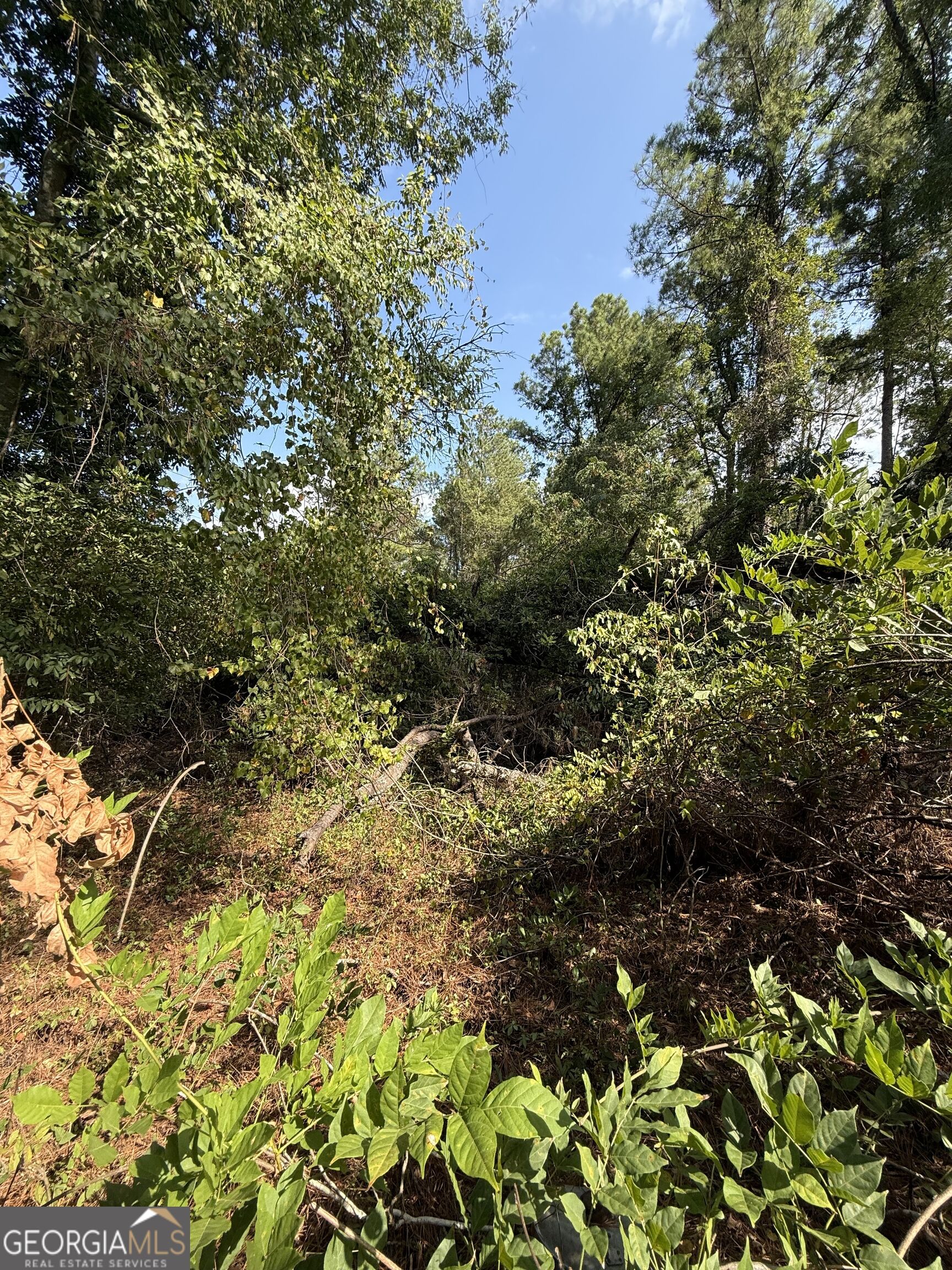 0 S Bartow Road Property Photo 11