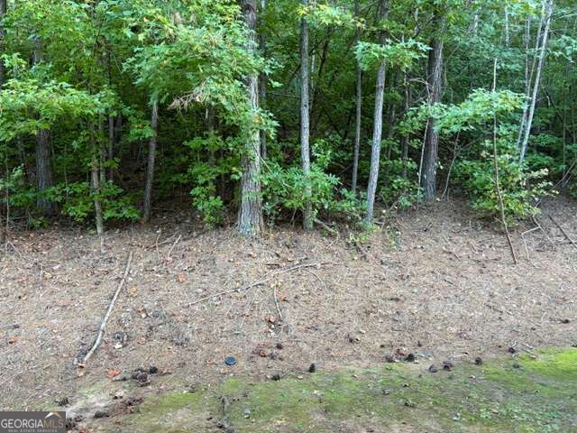 226 Ridge Mill Drive Property Photo 21