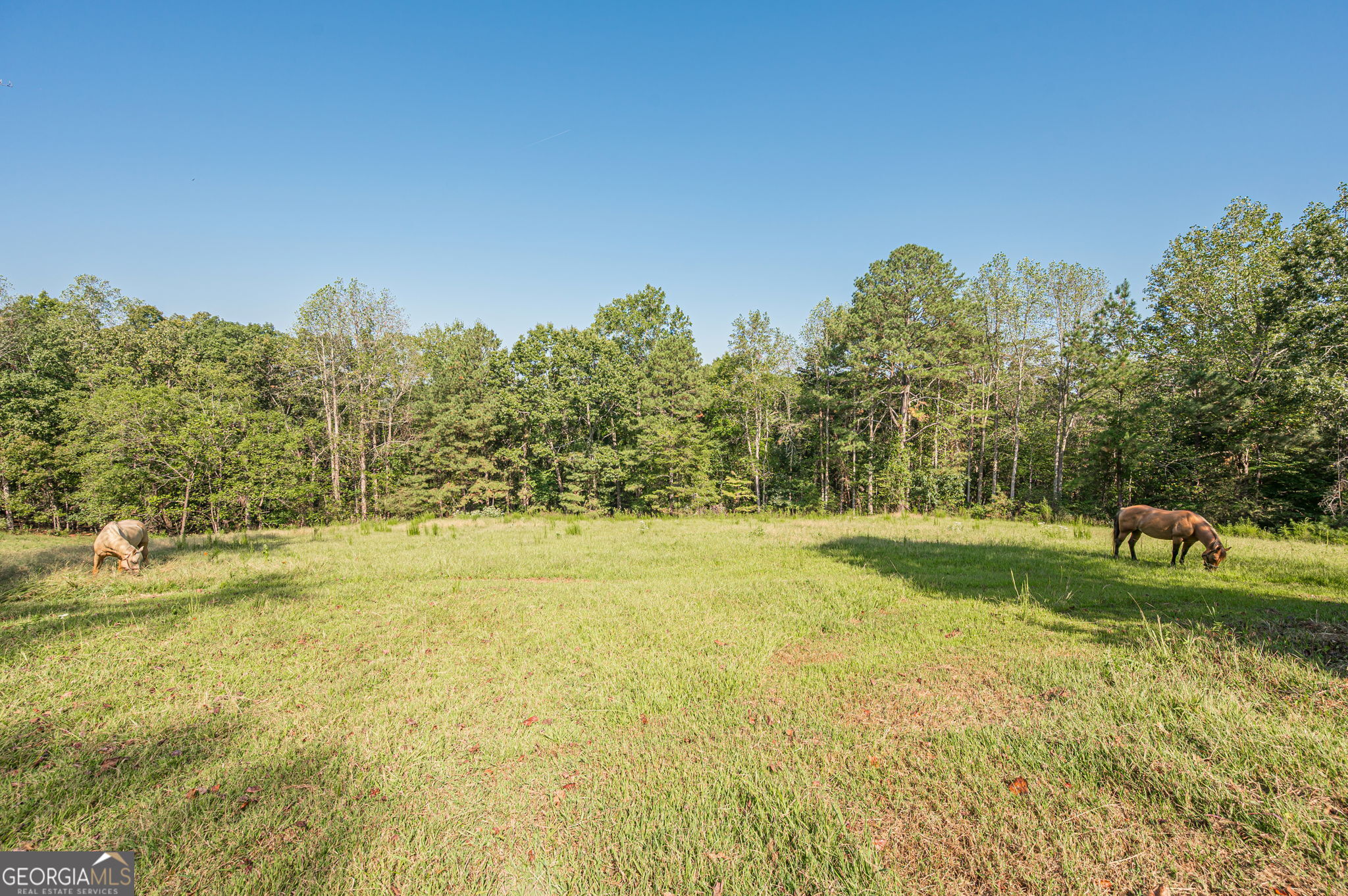 1276 Howell Property Photo 34