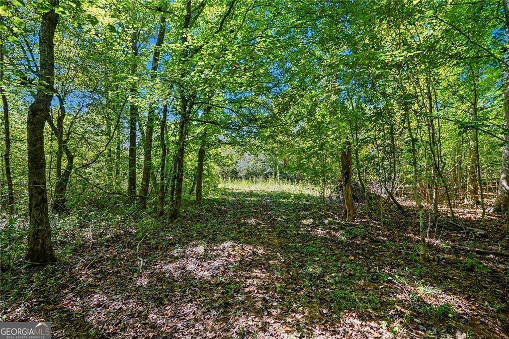1068 Wrights Mill Road Property Photo 39