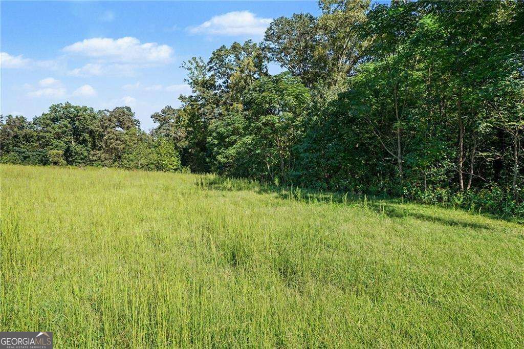 1068 Wrights Mill Road Property Photo 42
