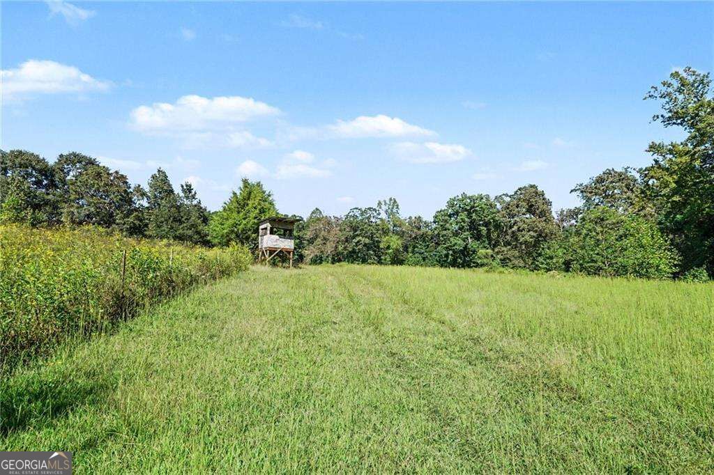 1068 Wrights Mill Road Property Photo 43