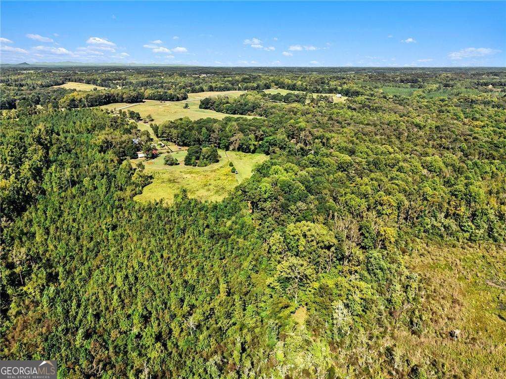 1068 Wrights Mill Road Property Photo 46