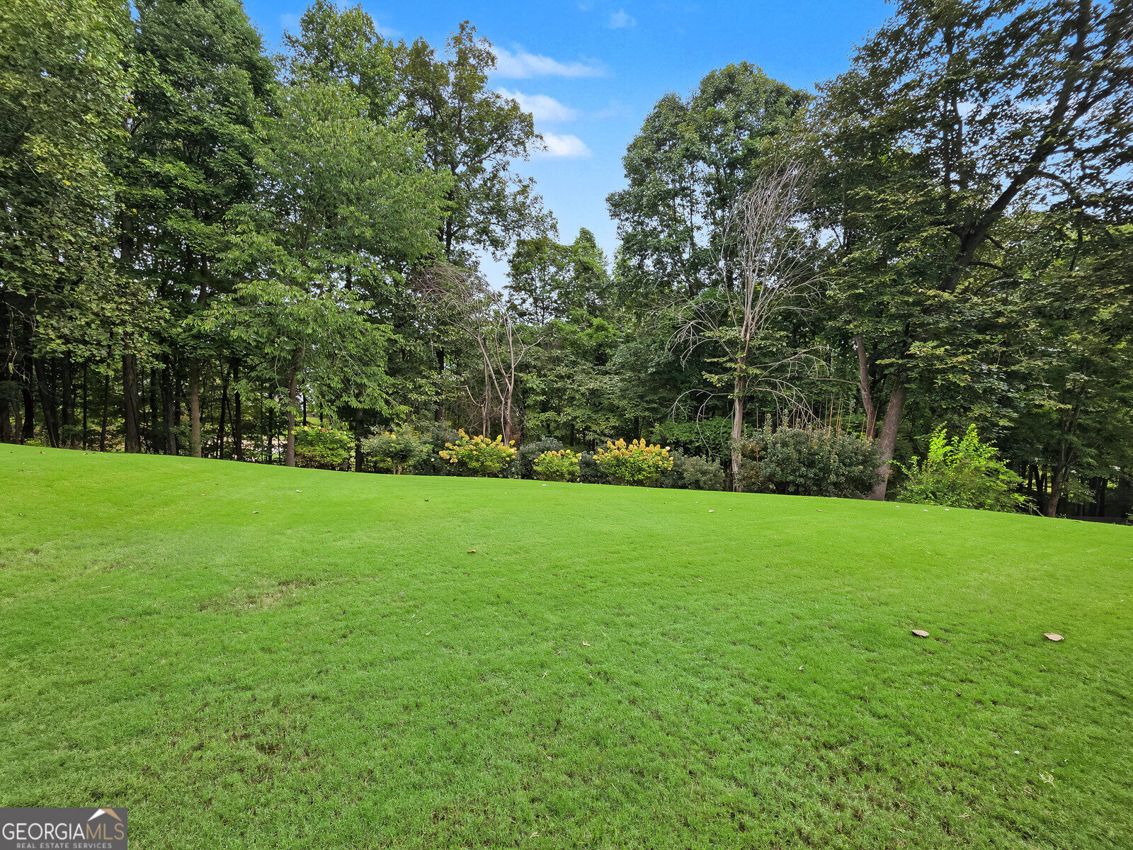 9722 Spyglass Drive Property Photo 41