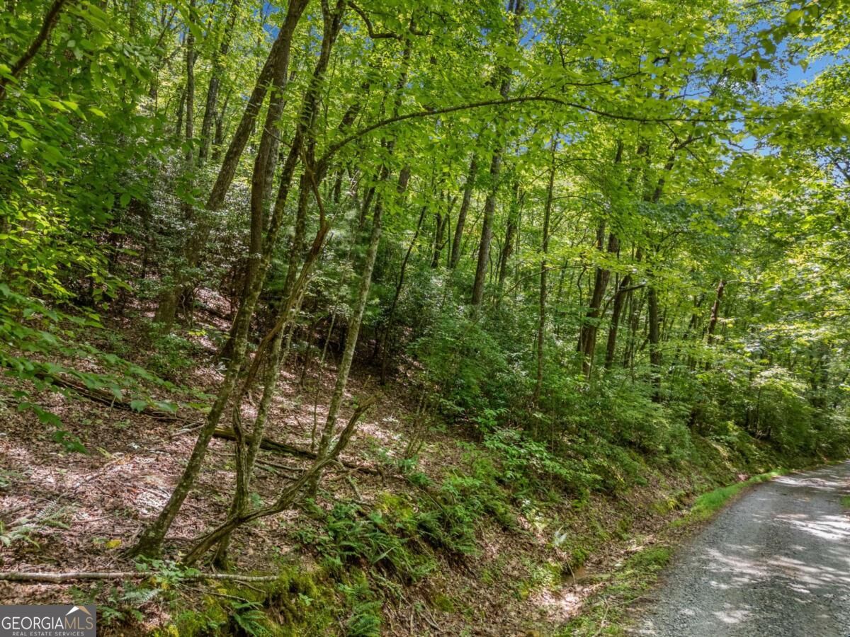 0 Jagger Run Property Photo 5