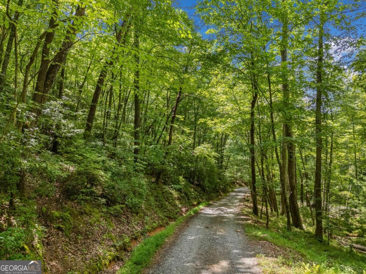 0 Jagger Run Property Photo 6