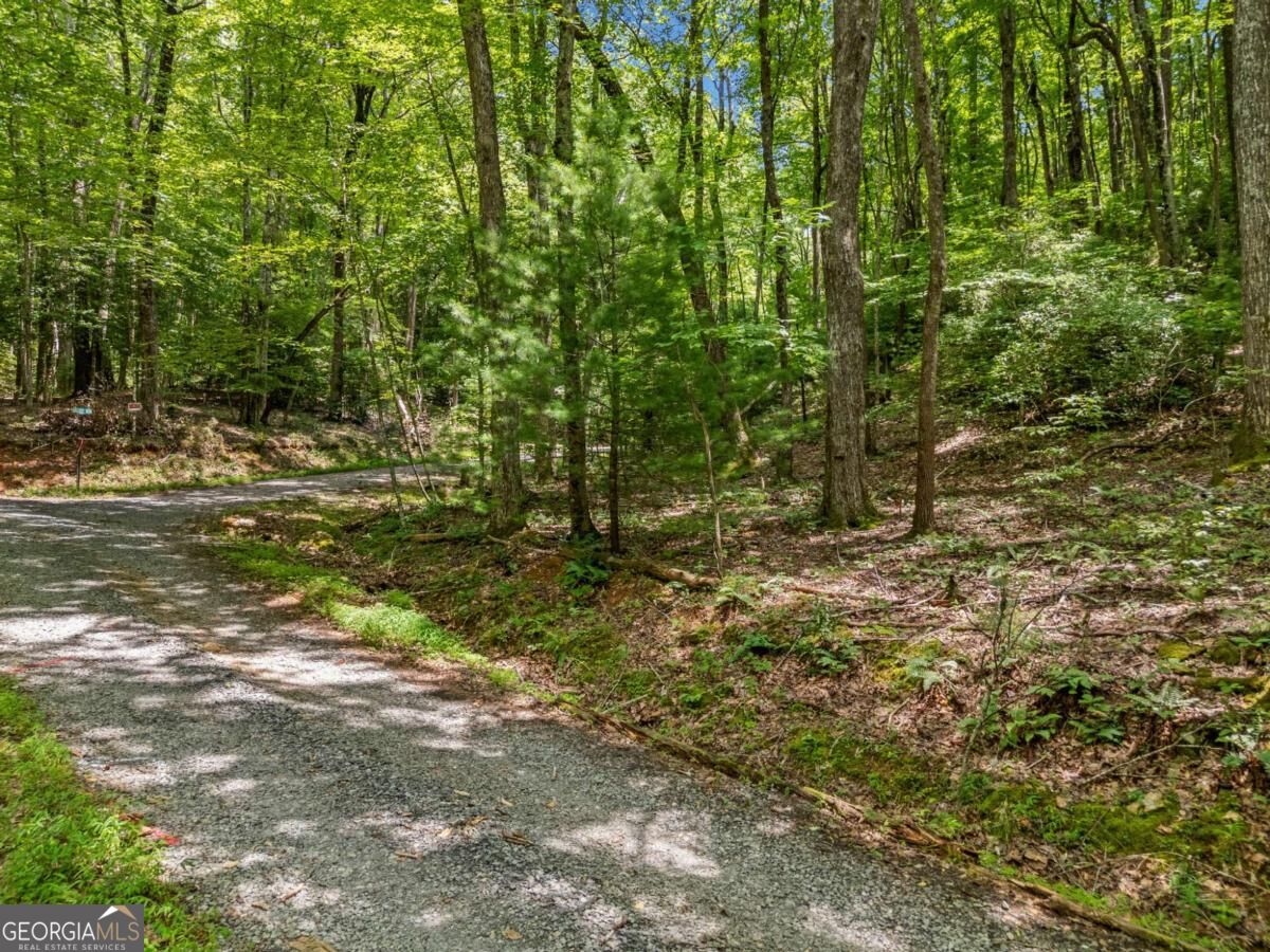 0 Jagger Run Property Photo 7