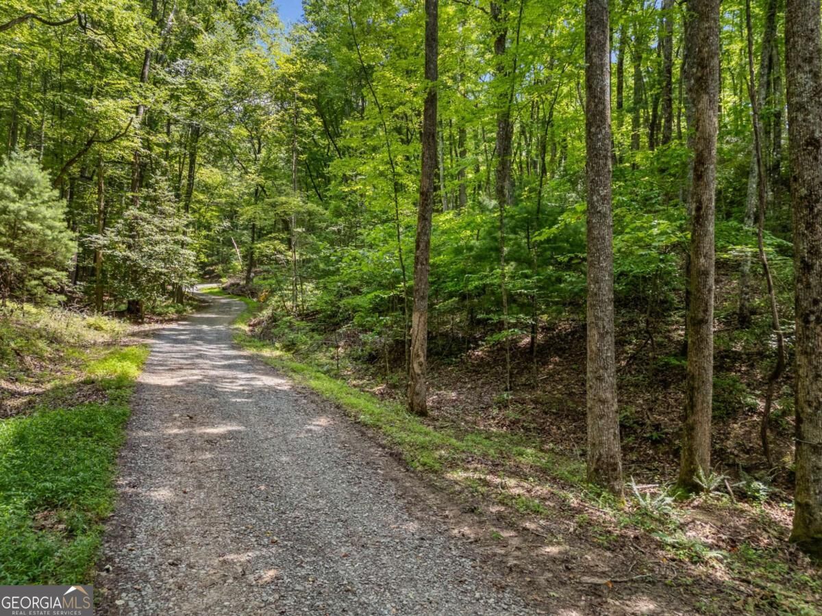 0 Jagger Run Property Photo 11