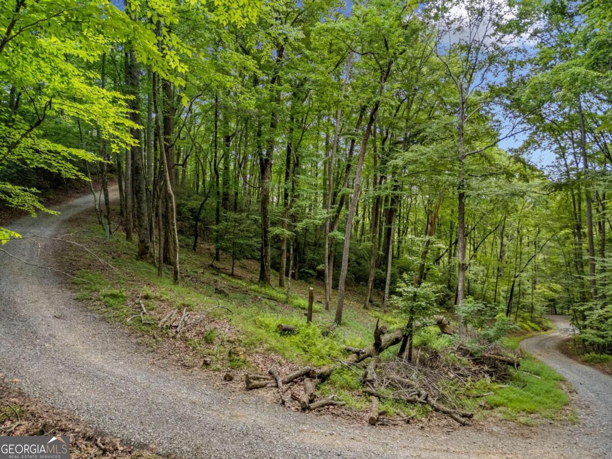 0 Jagger Run Property Photo 12