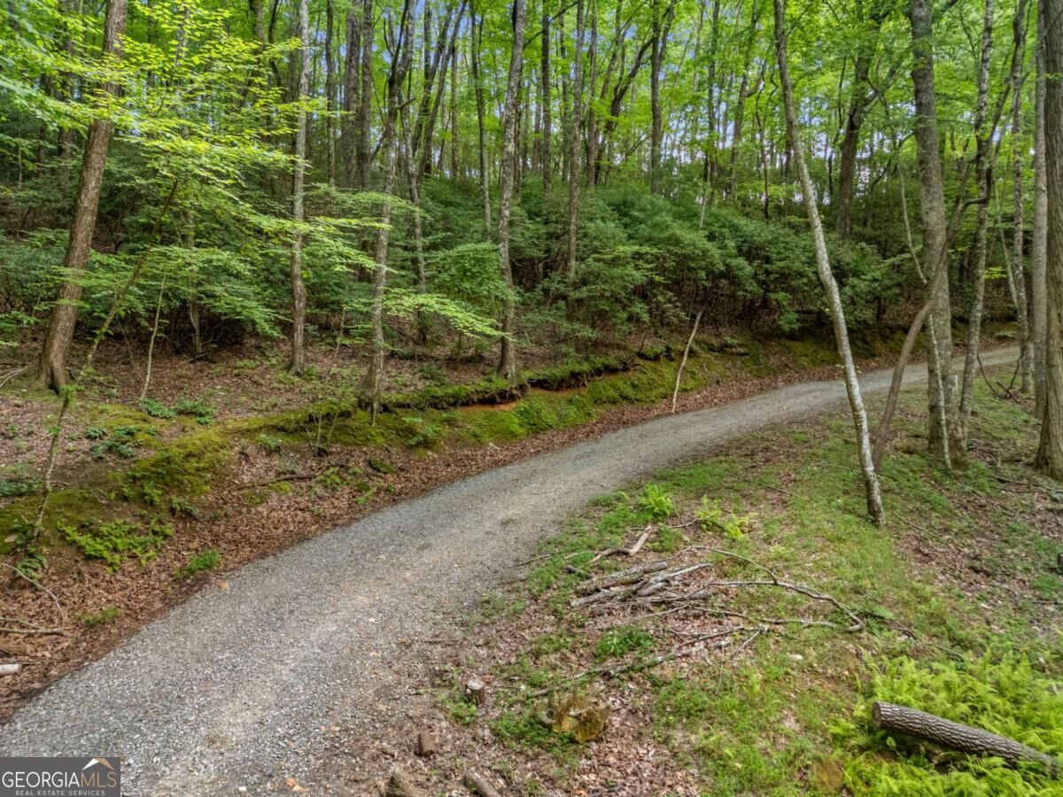 0 Jagger Run Property Photo 14