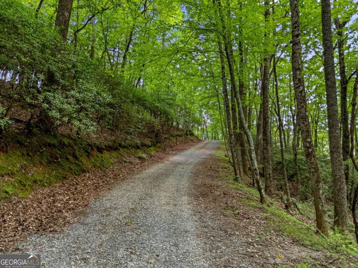 0 Jagger Run Property Photo 17