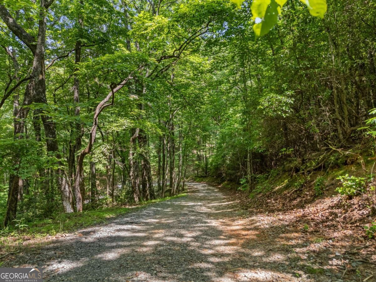 0 Jagger Run Property Photo 21