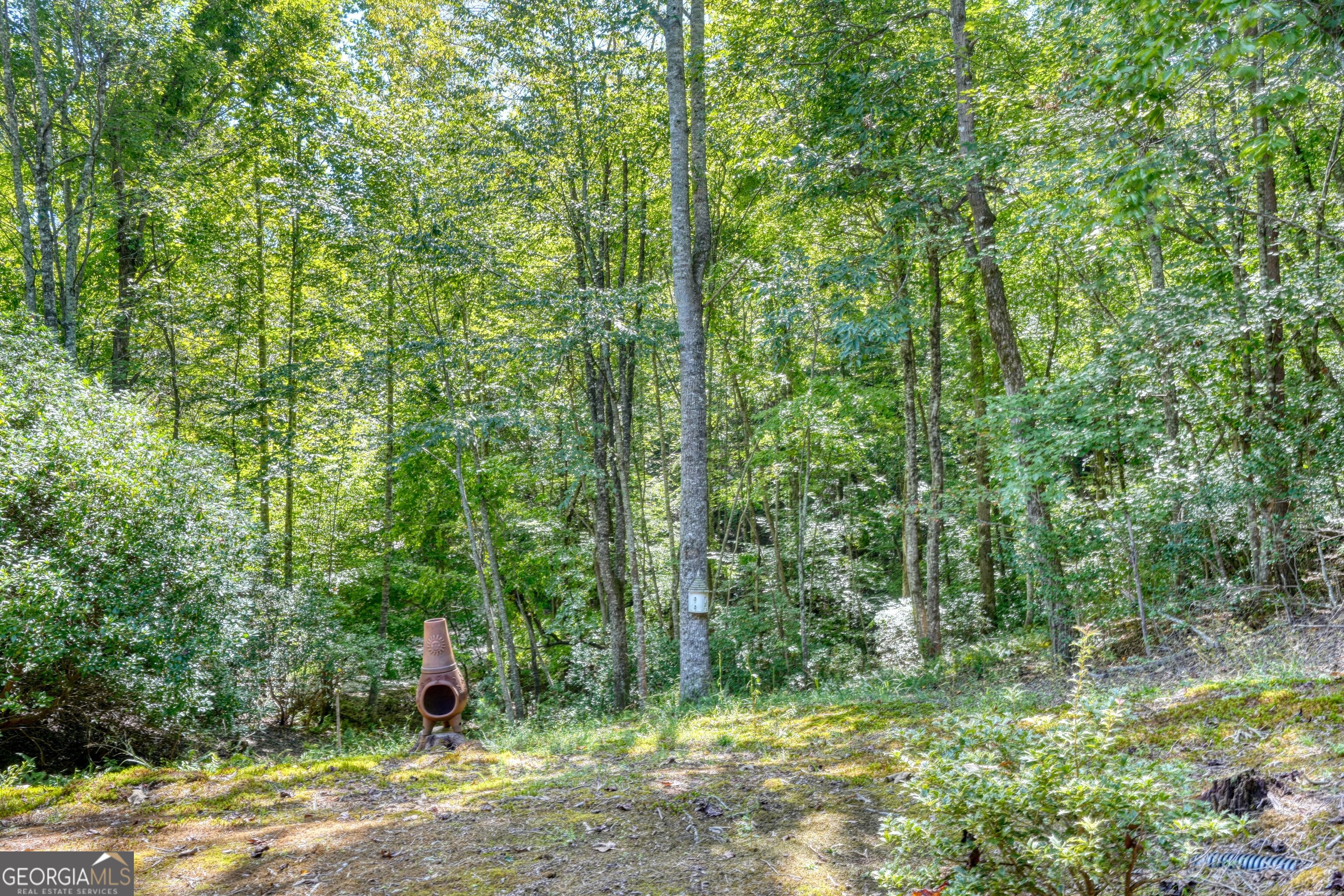184 Beaver Ridge Road Property Photo 47