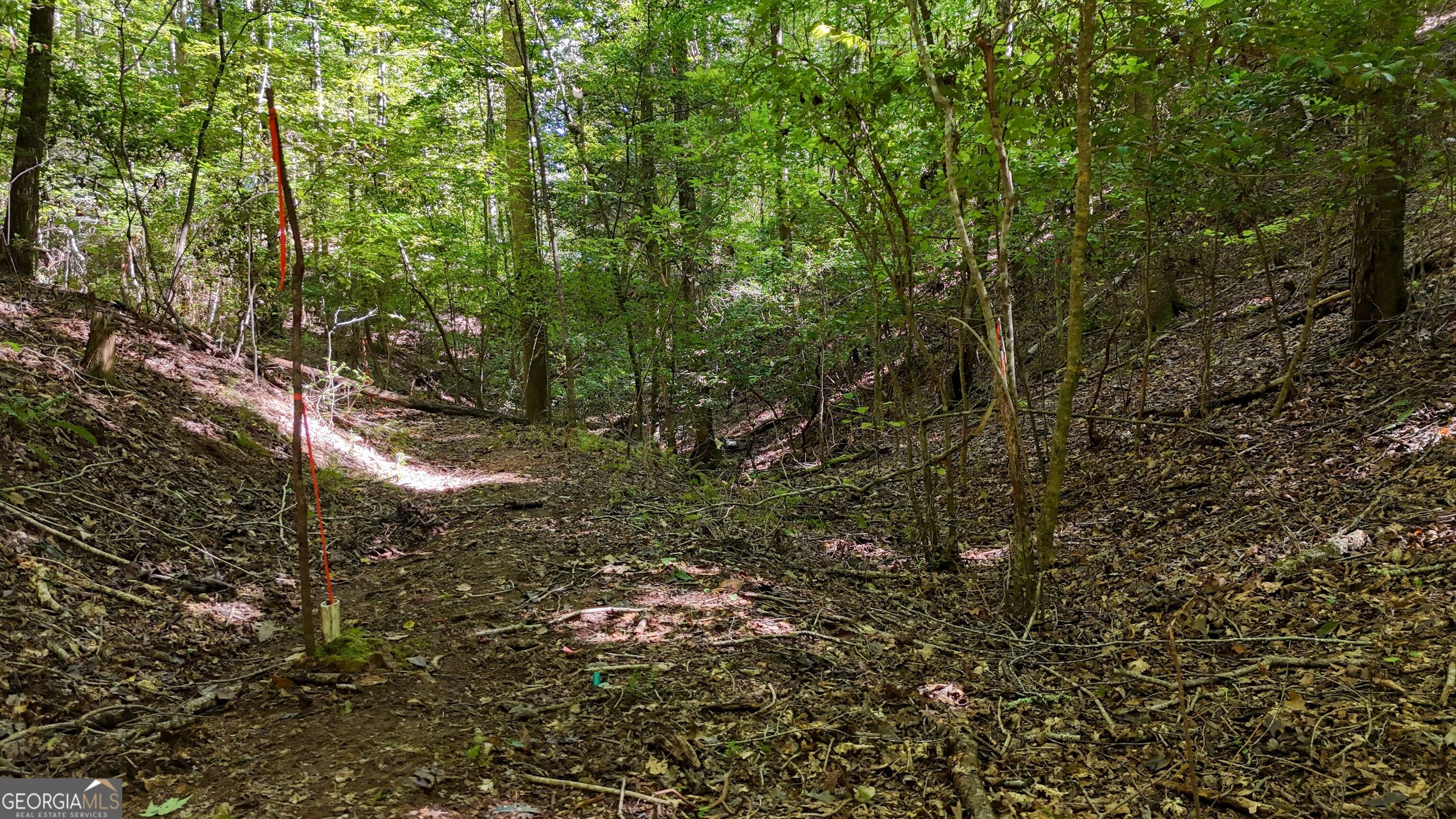 184 Beaver Ridge Road Property Photo 55