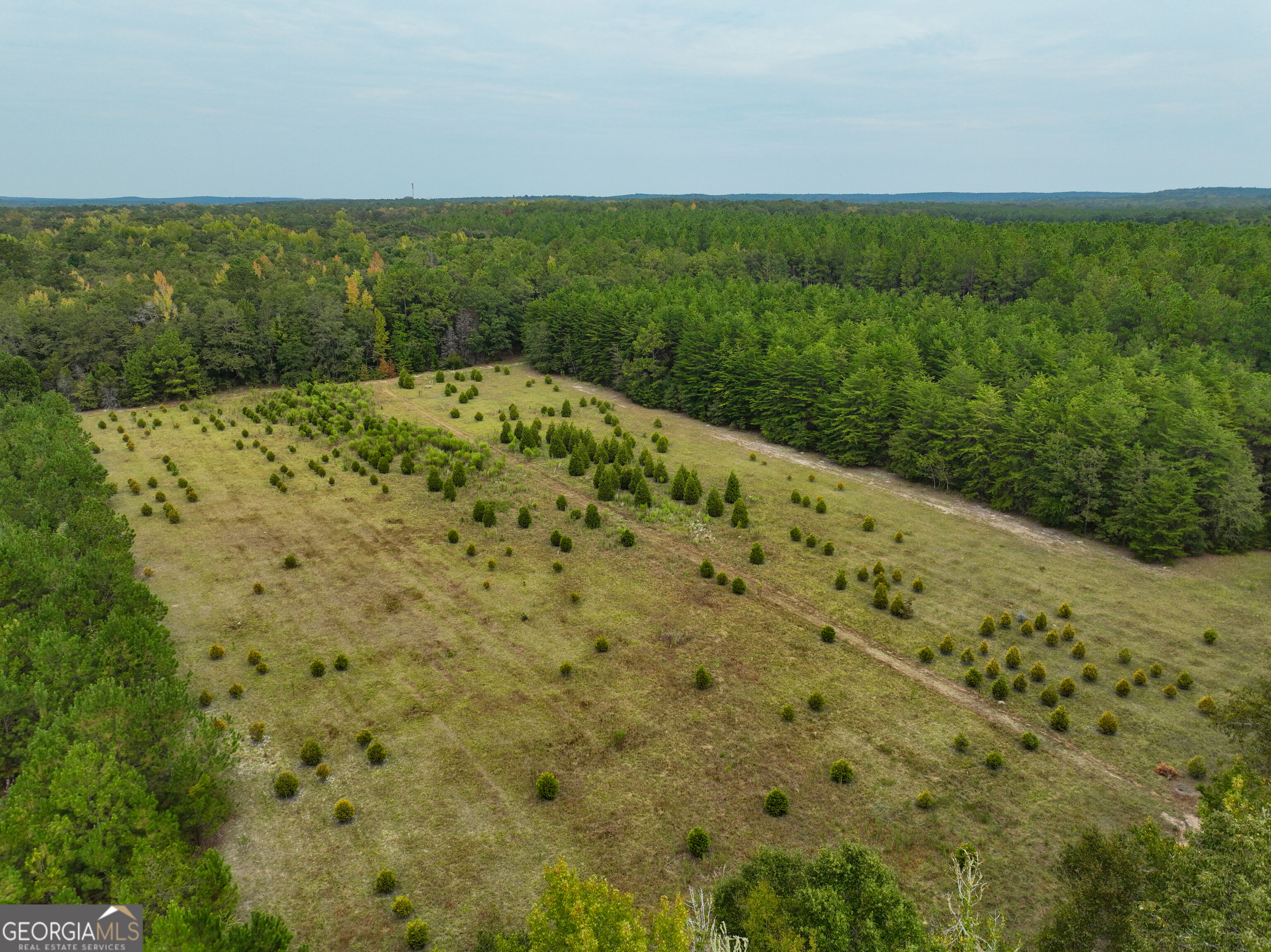 5889 Hammock Road Property Photo 1