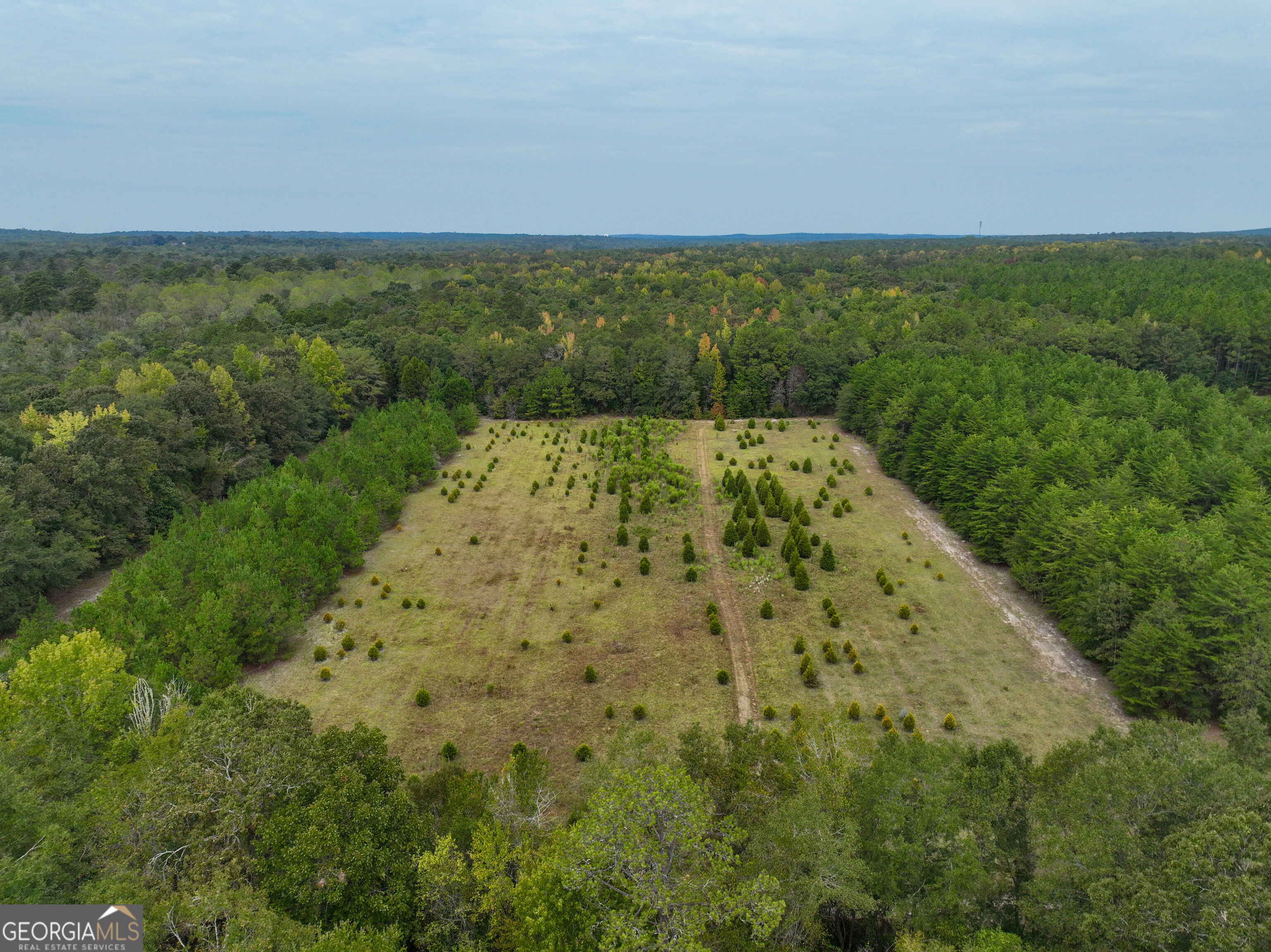 5889 Hammock Road Property Photo 2