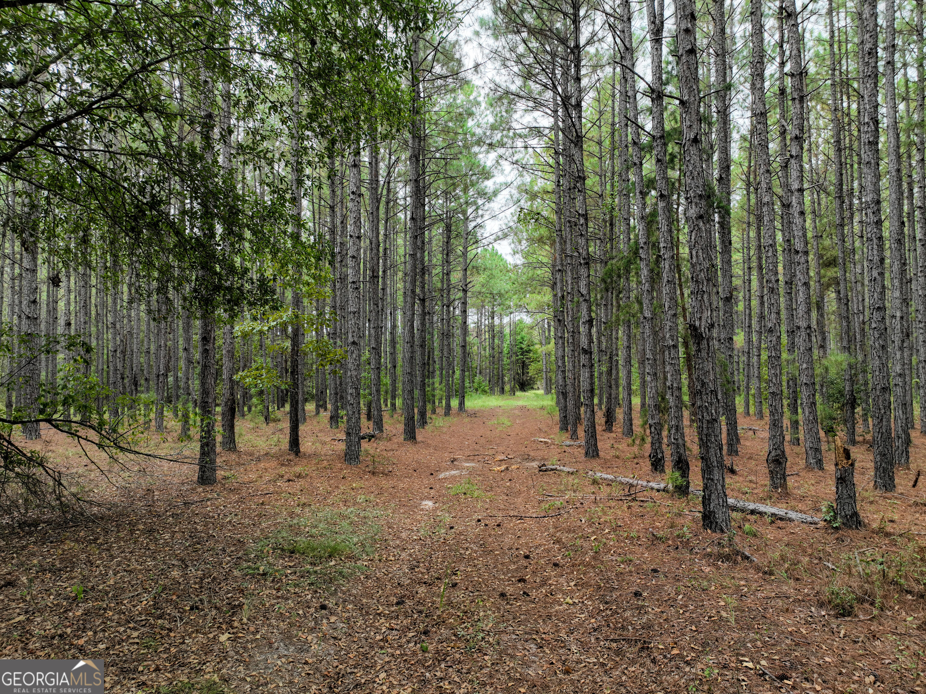5889 Hammock Road Property Photo 3
