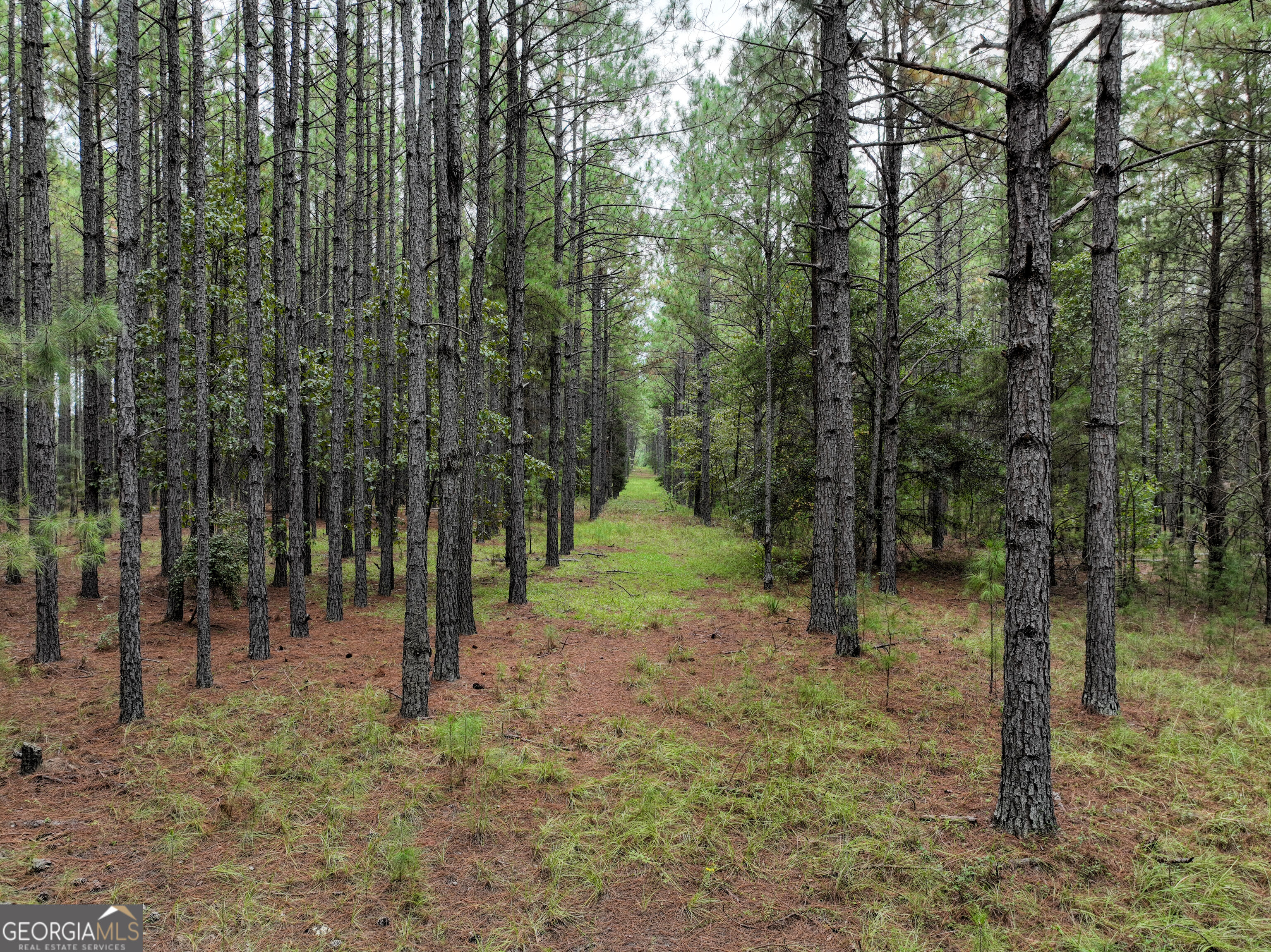 5889 Hammock Road Property Photo 4