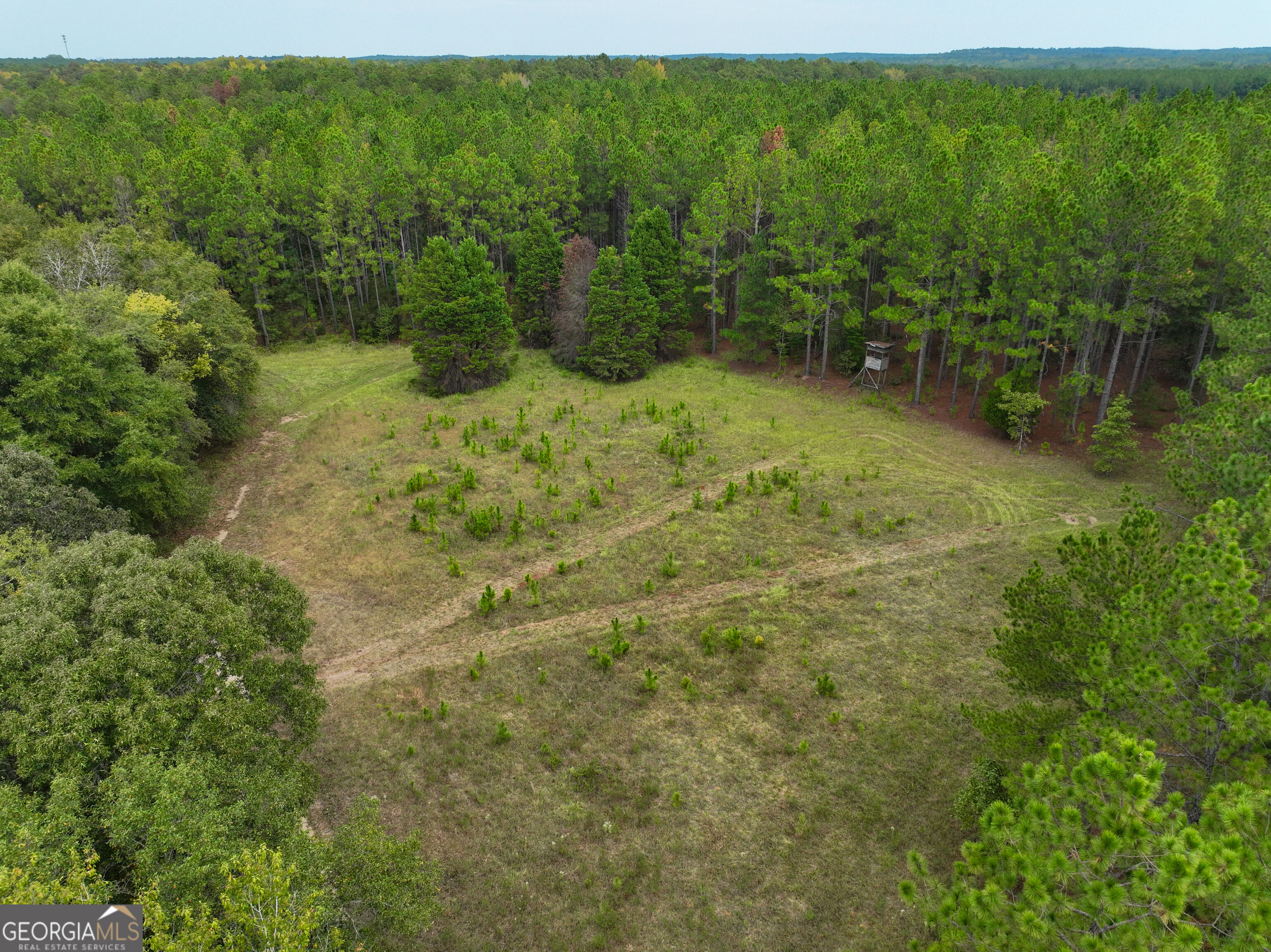 5889 Hammock Road Property Photo 7