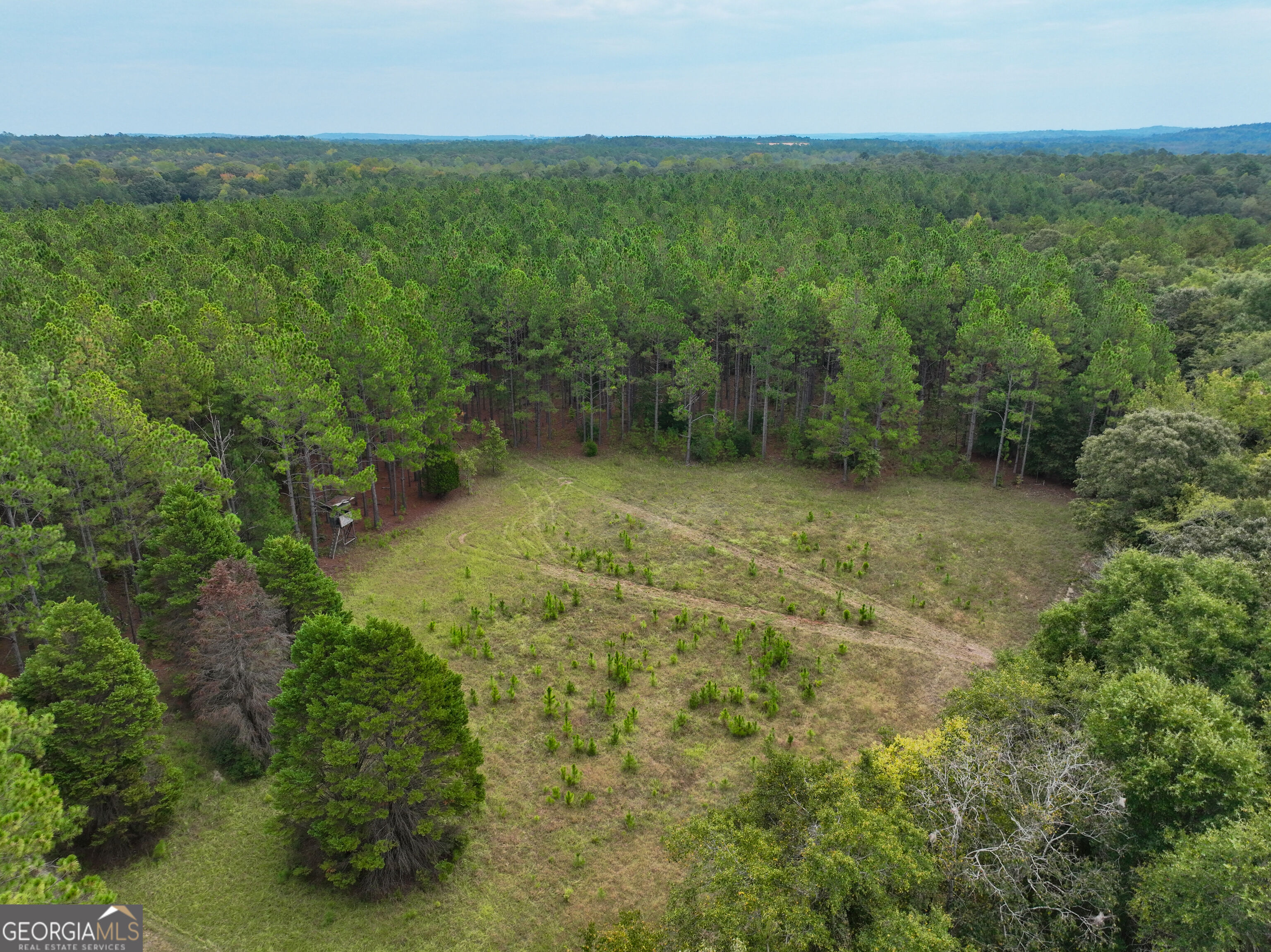 5889 Hammock Road Property Photo 8