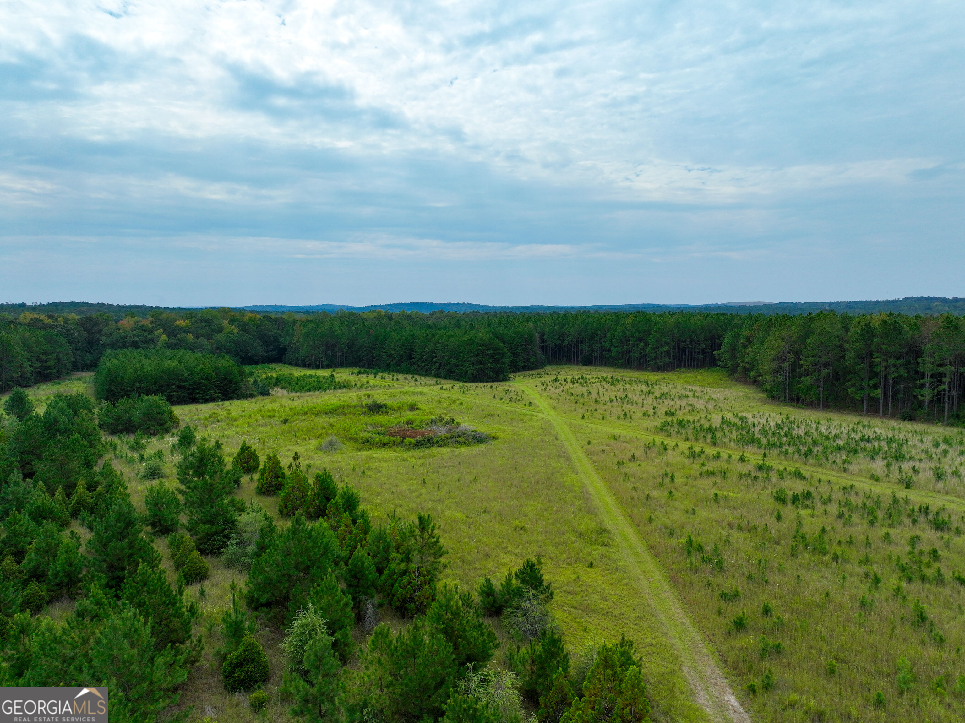 5889 Hammock Road Property Photo 9